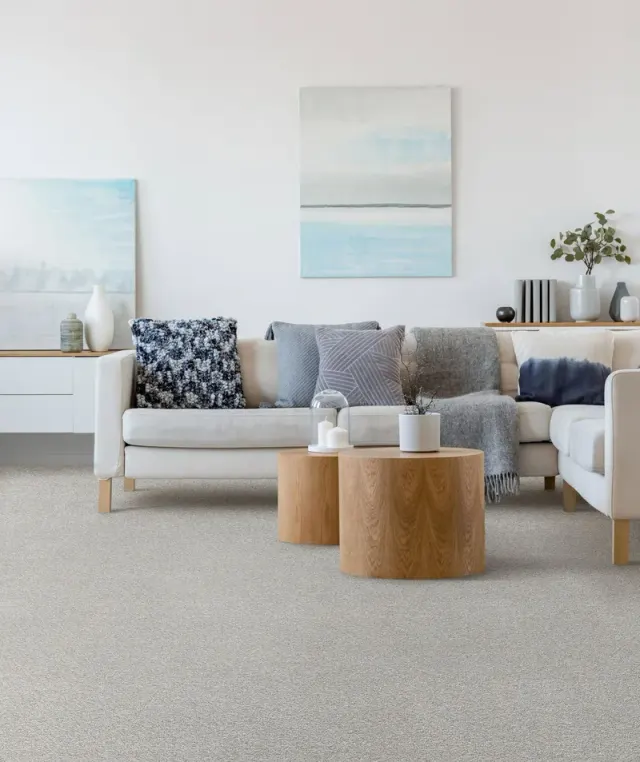 Bright living room with a coffee table and soft gray carpet.