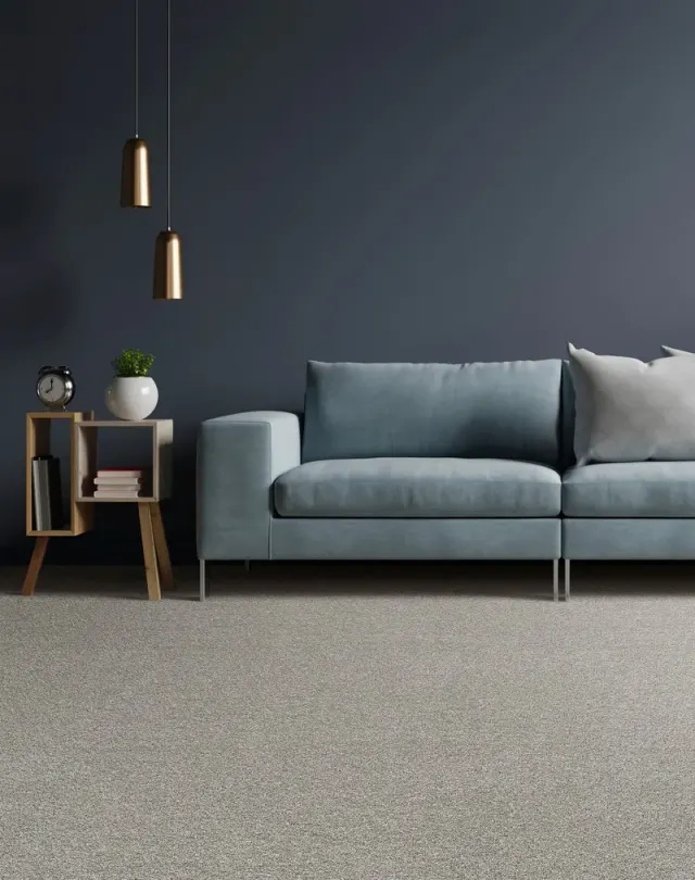 Dark blue living room with a velvet sofa and light gray carpet.