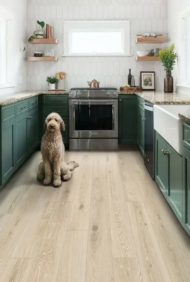 Farmhouse kitchen with green cabinetry, a dog, and wood-look flooring.